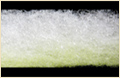 spraymax sideview